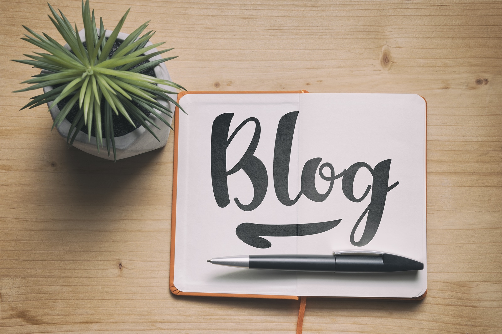 The word "blog" on a paper with a pen and small cactus to represent how important blogging is for therapists and private practice owners working on their search engine optimization.