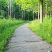 Photo from Dalle of a narrowing path leading into a forest representing a therapist narrowing their niche to go from being a generalist to being a specialized mental health professional.